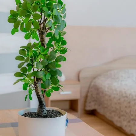 펜션 Jaukus Sveciu Namelis *