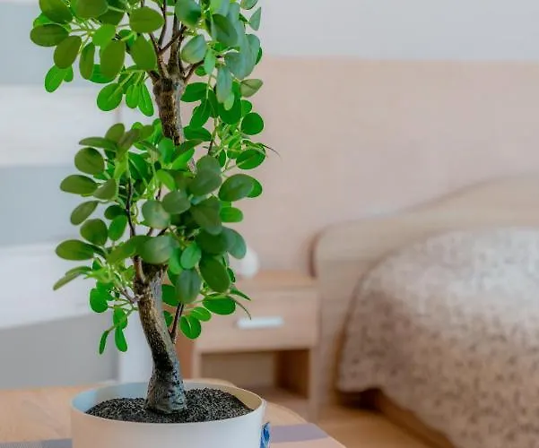 Casa de Férias Jaukus Sveciu Namelis *